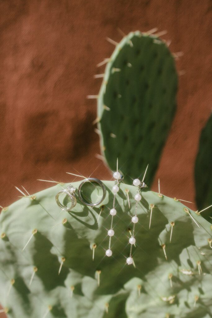 brides jewelry on a cactus 