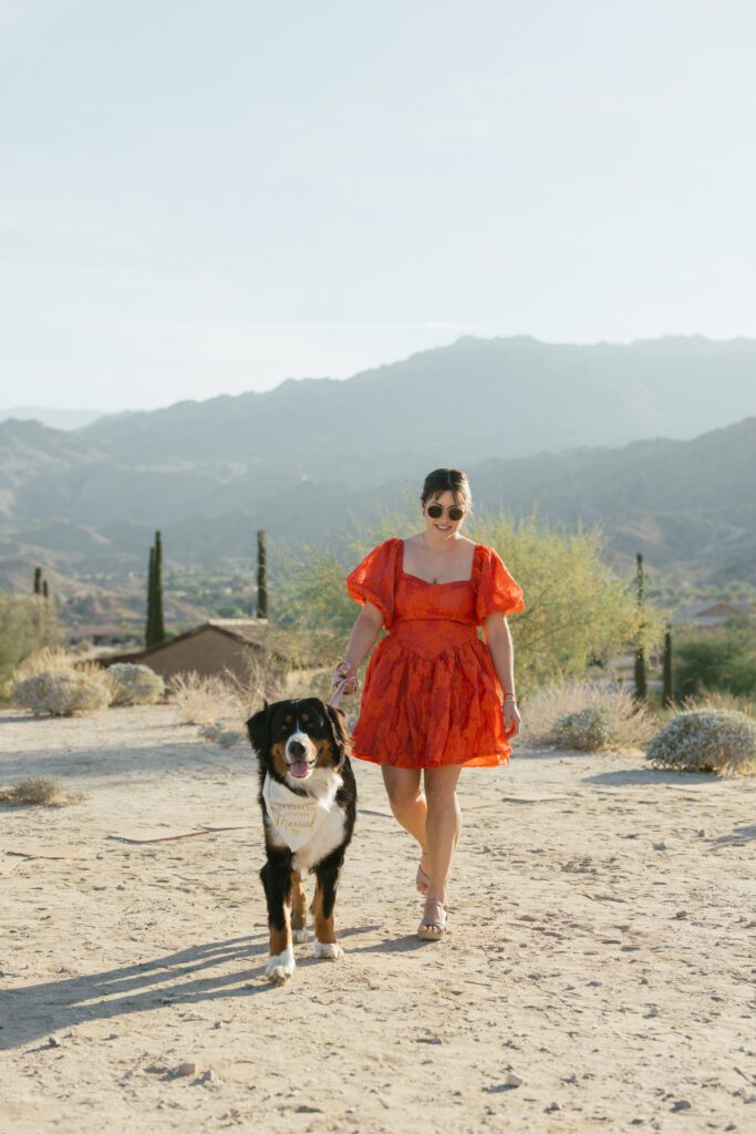 wedding couples dog walking down the aisle