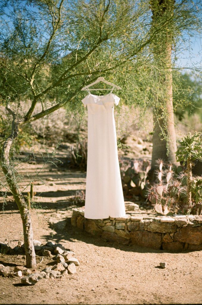 bride's dress hangin on a tree