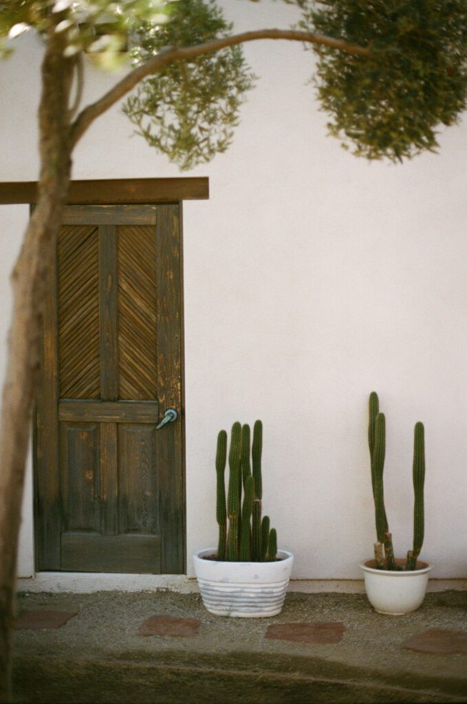 cacti by the Palm Springs wedding venue door 