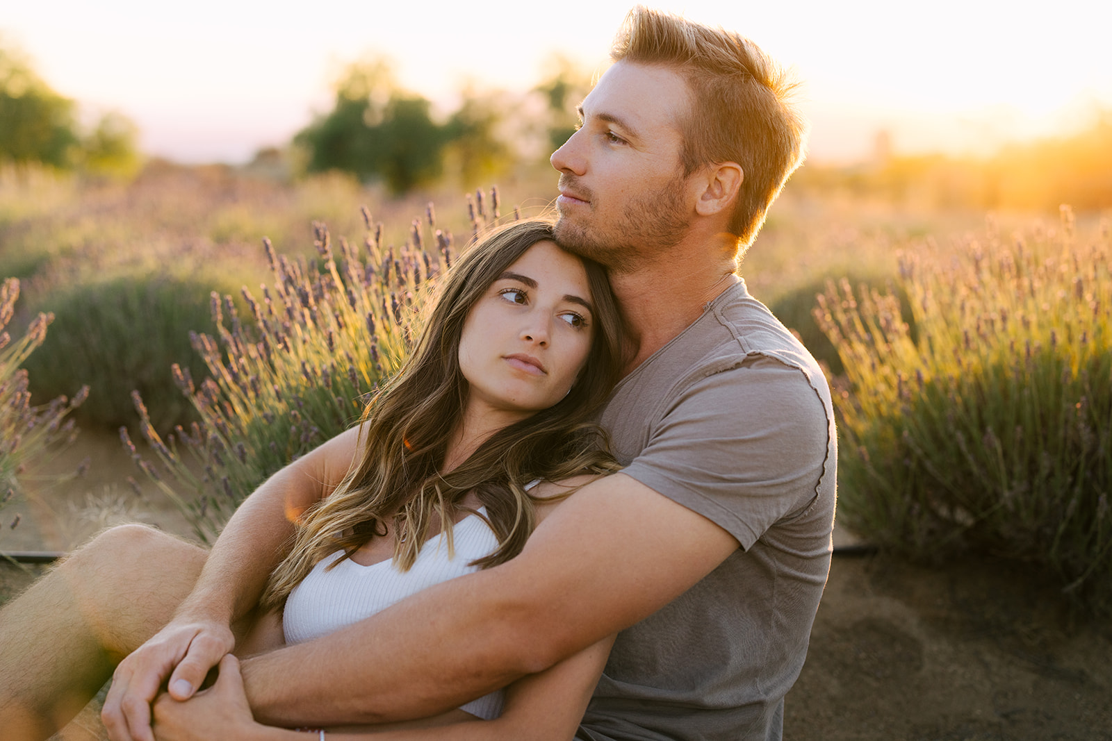 lavender farm couples shoot