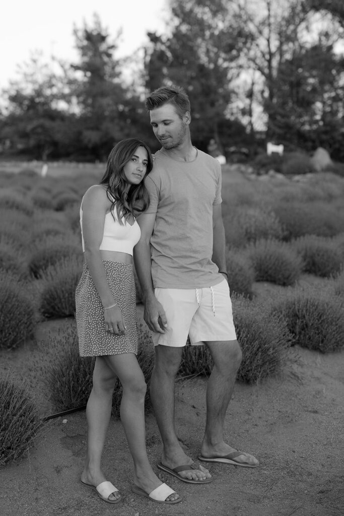 lavender farm couples shoot