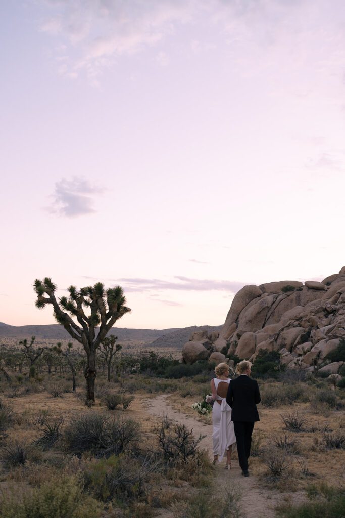 Joshua tree national park