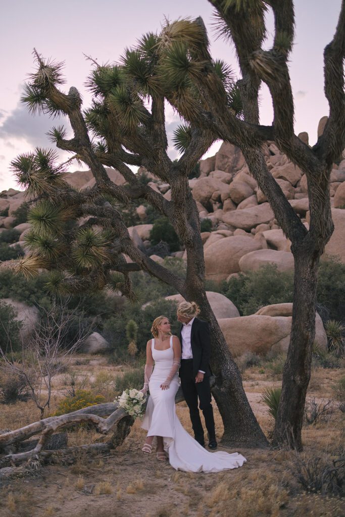 Joshua tree national park