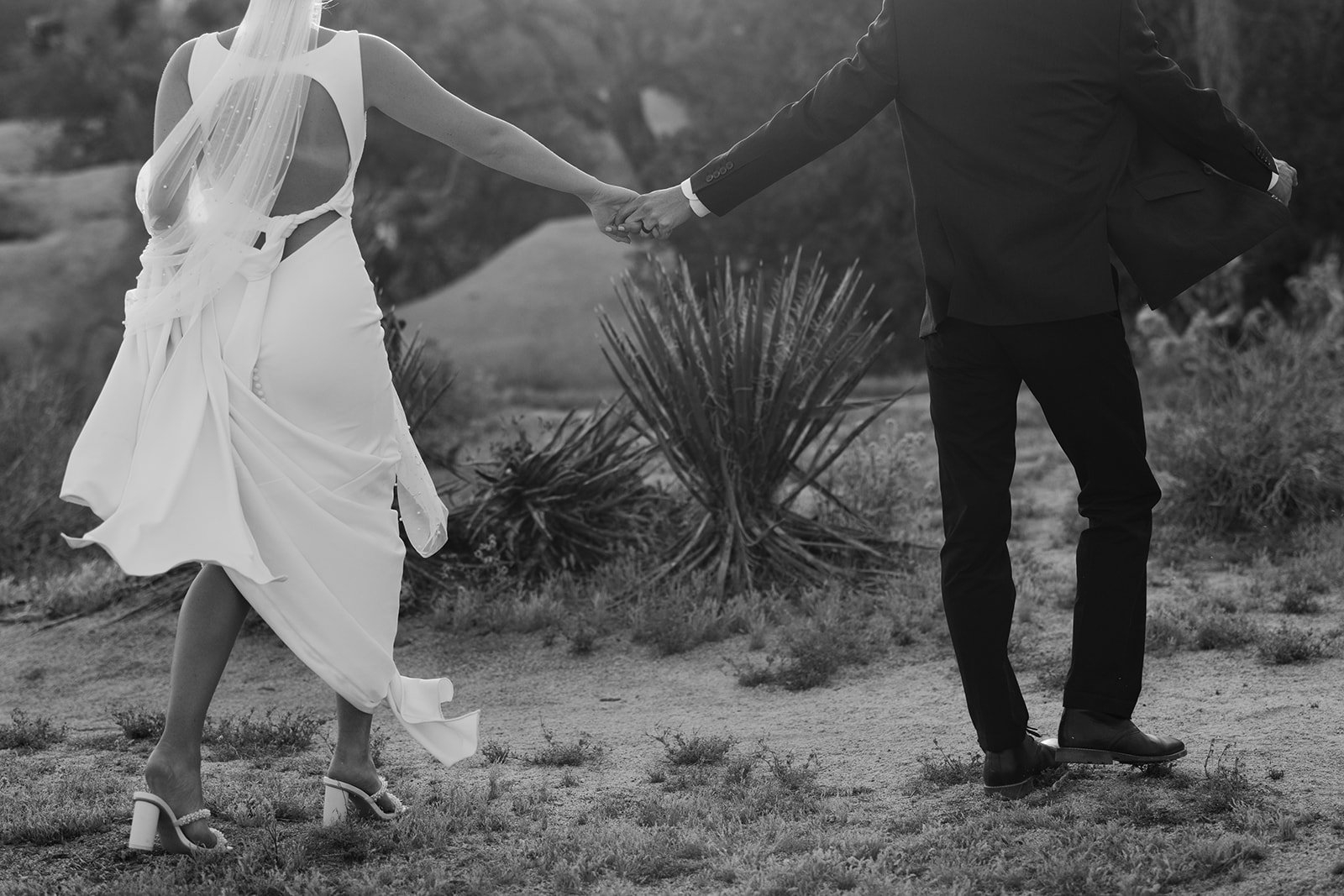 National park elopement