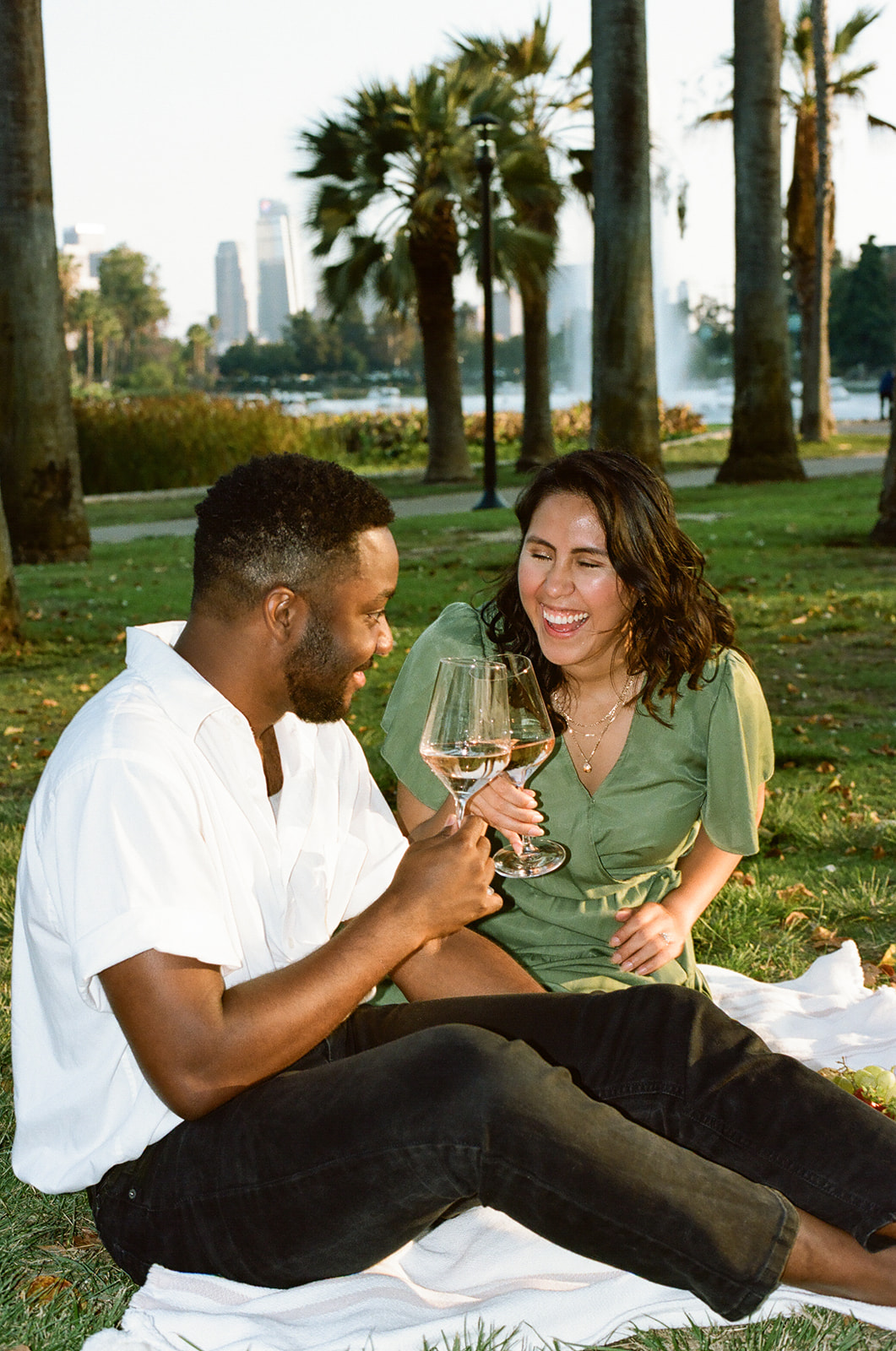 a couple doing a toast with their wine glasses while on a picnic