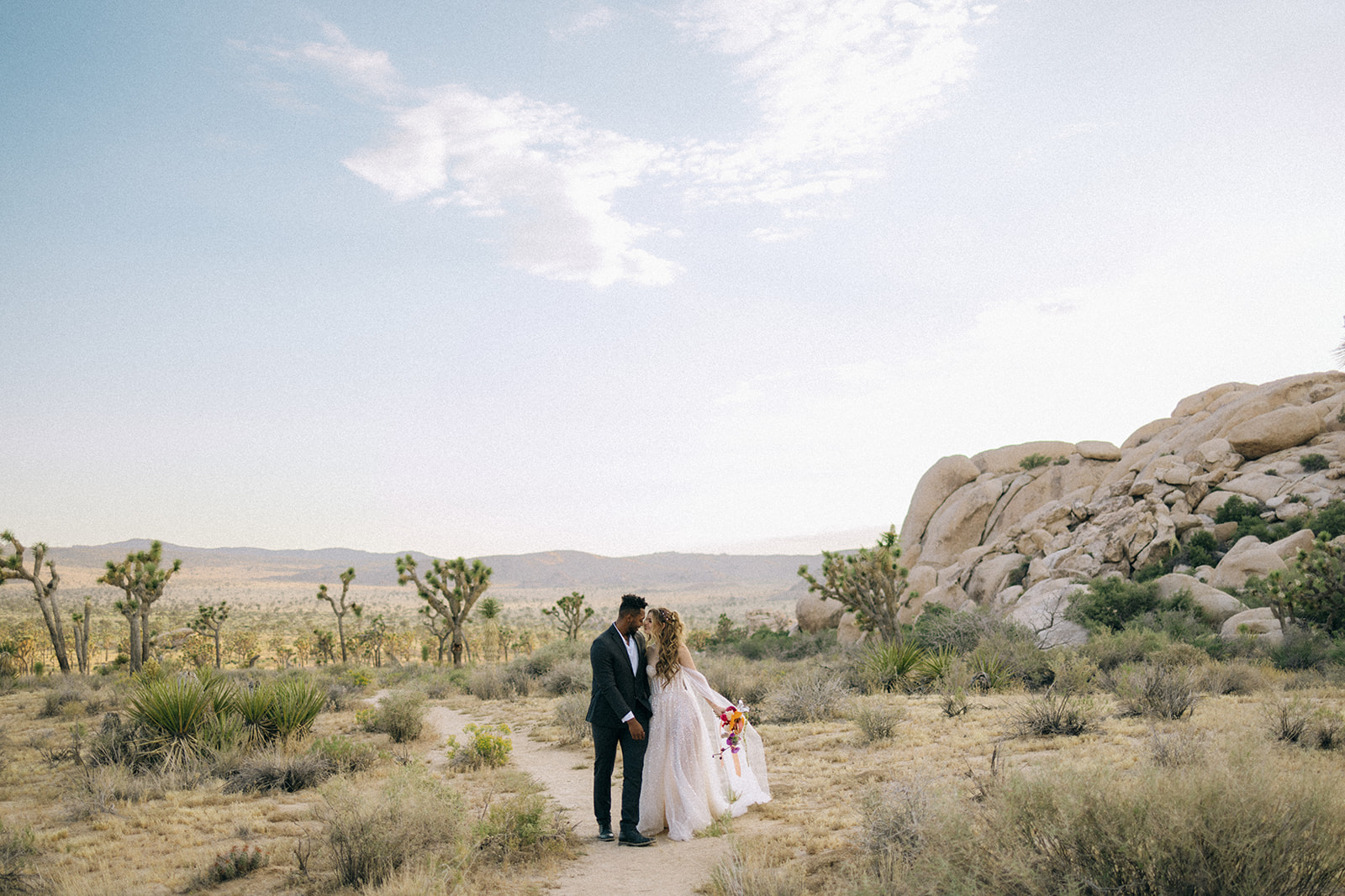 wide view of the Joshua Tree national park landscape behind the couple