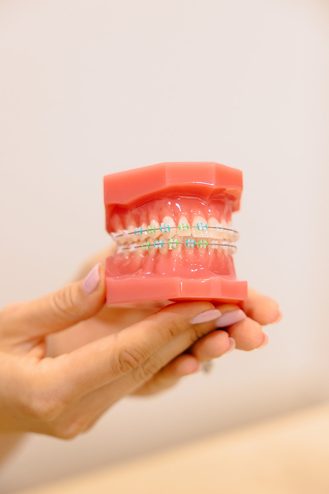 a model of teeth with braces for branding photos 
