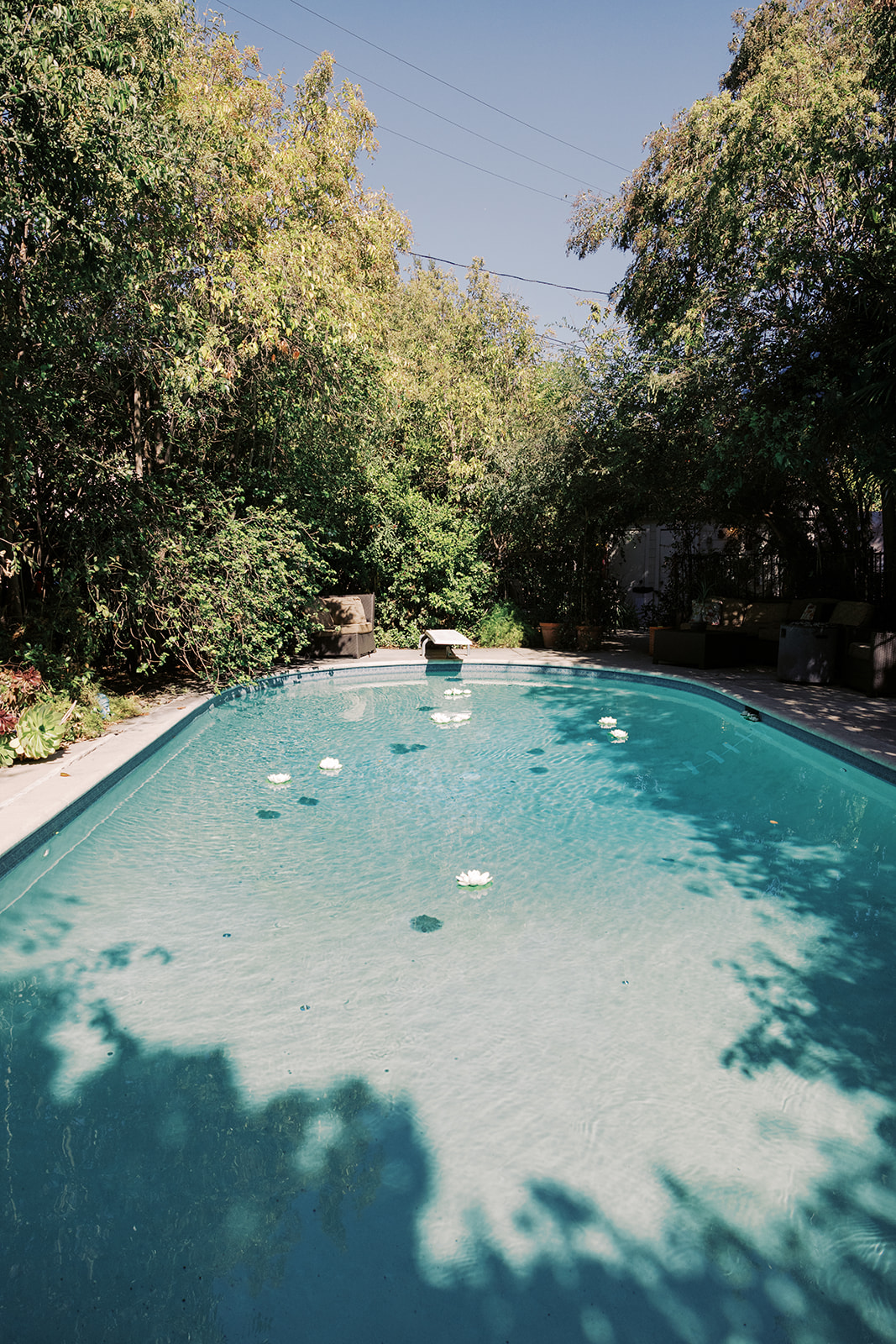 the couples' backyard pool 