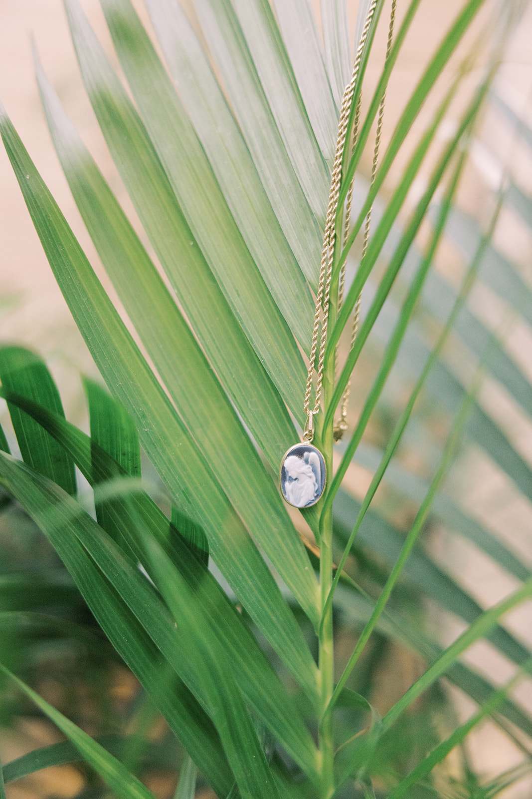 a necklace hanging on a plant 