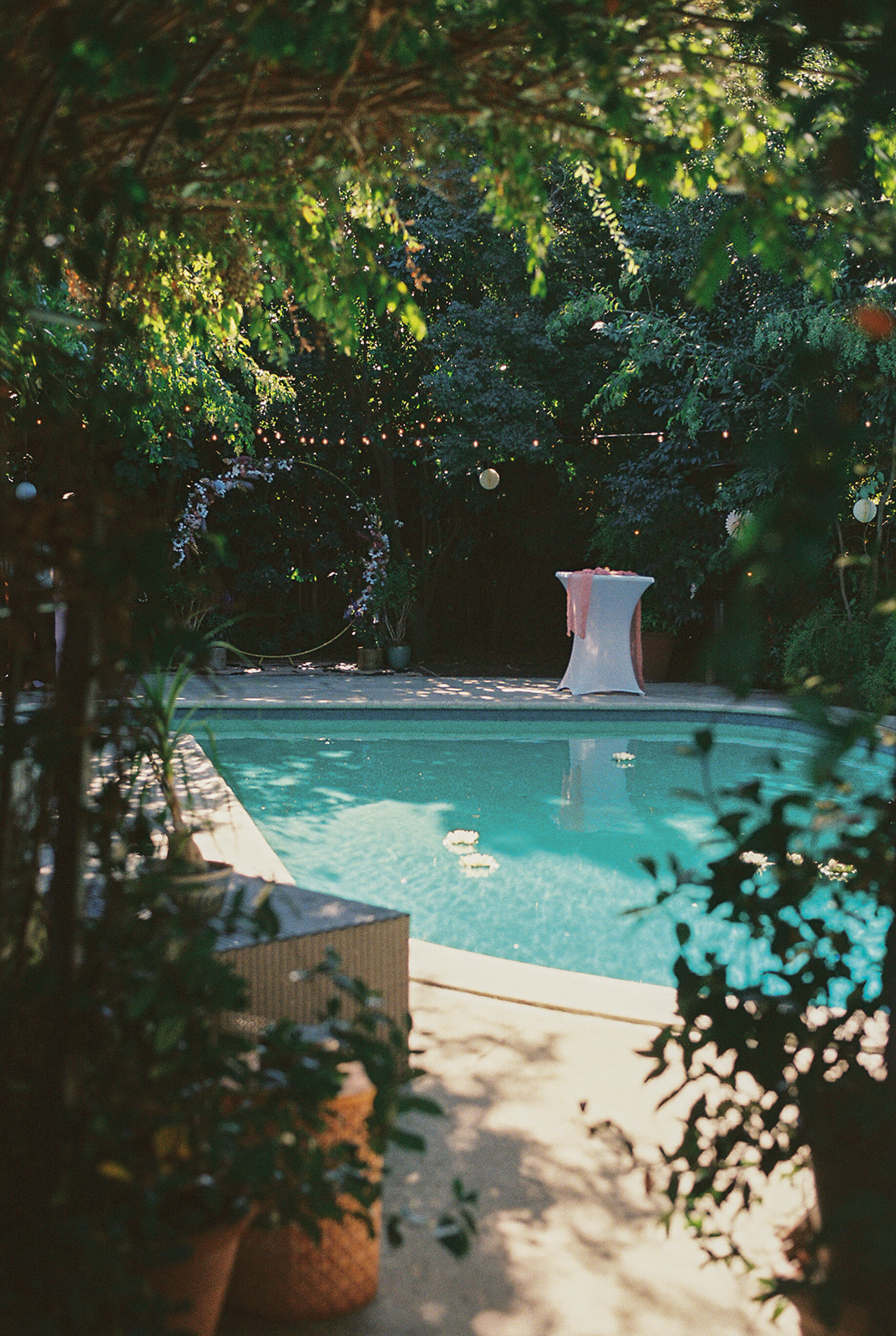 35mm film photo of the backyard wedding space